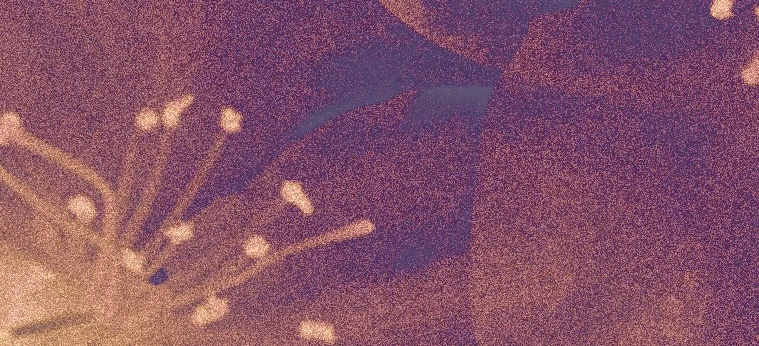 Lilás #2 Cover