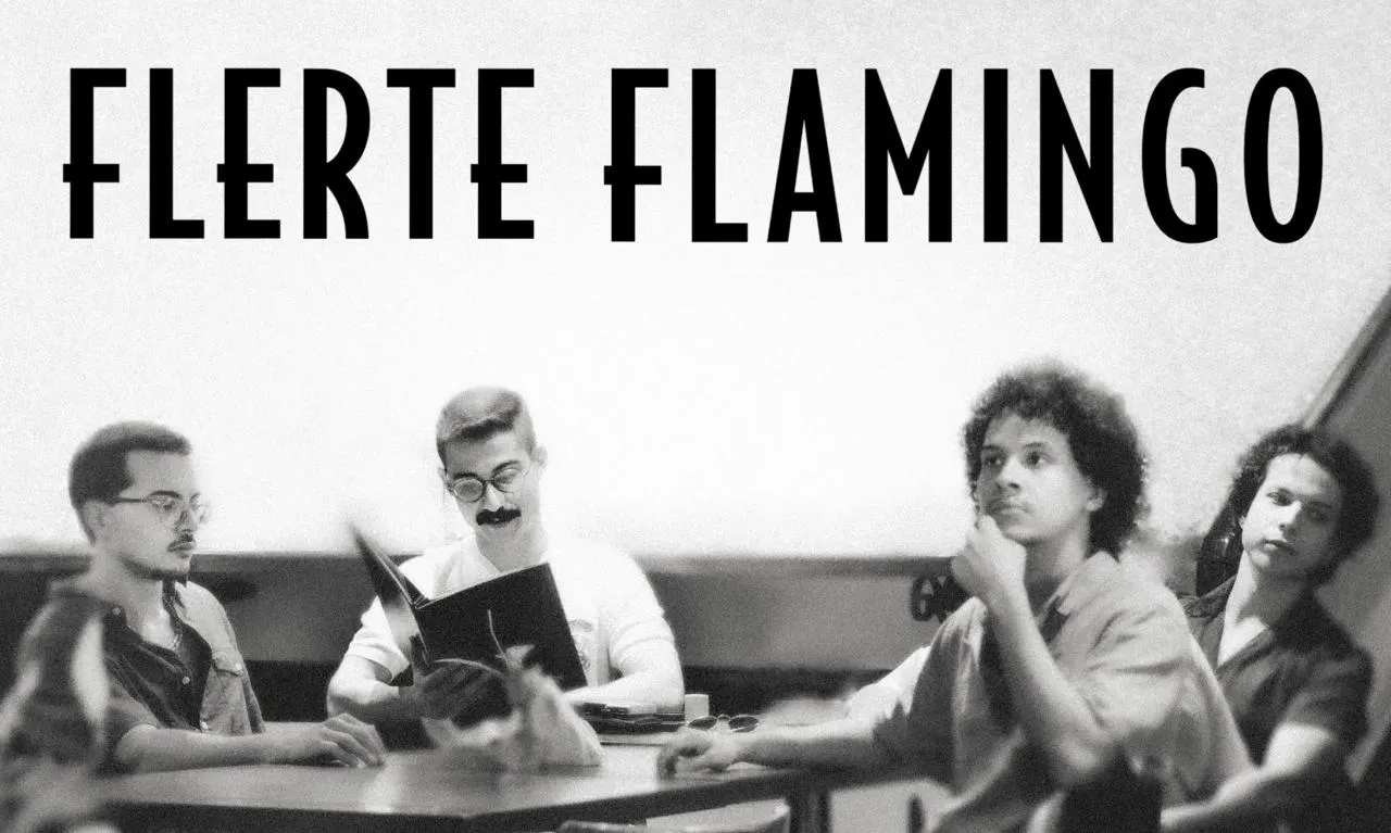 Flerte Flamingo Em Belo Horizonte Cover