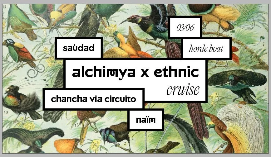 Alchimya X Ethnic Cruise Cover