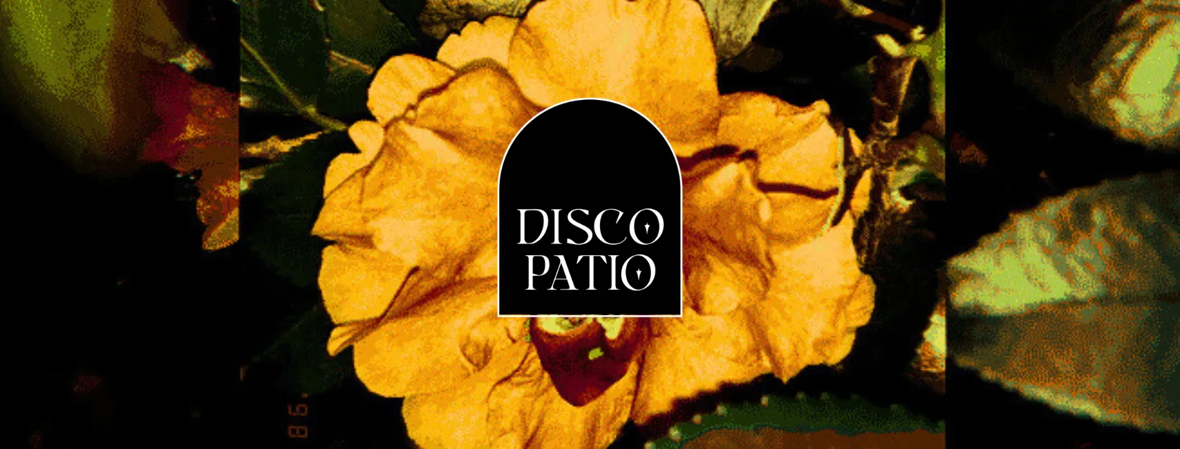 Disco Patio XV "Close-Knit Session" Cover