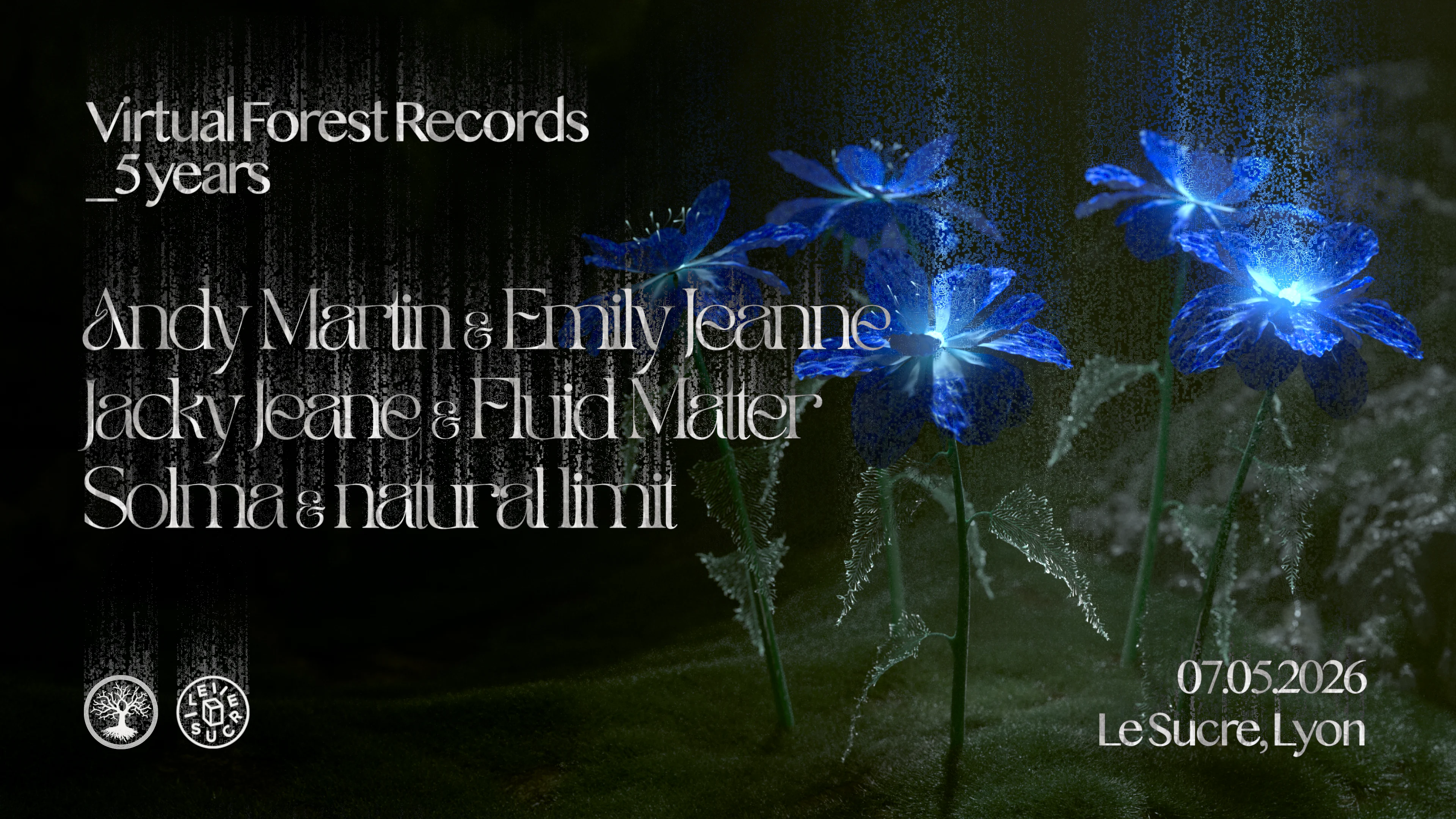 Virtual Forest 5 Years : Andy Martin B2b Emily Jeanne & More Cover
