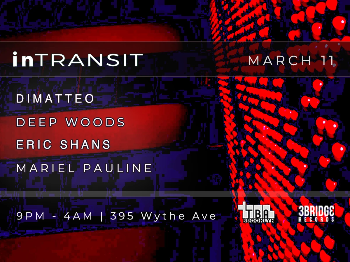 Intransit: Dimatteo, Deep Woods, Eric Shans, Mariel Pauline Cover