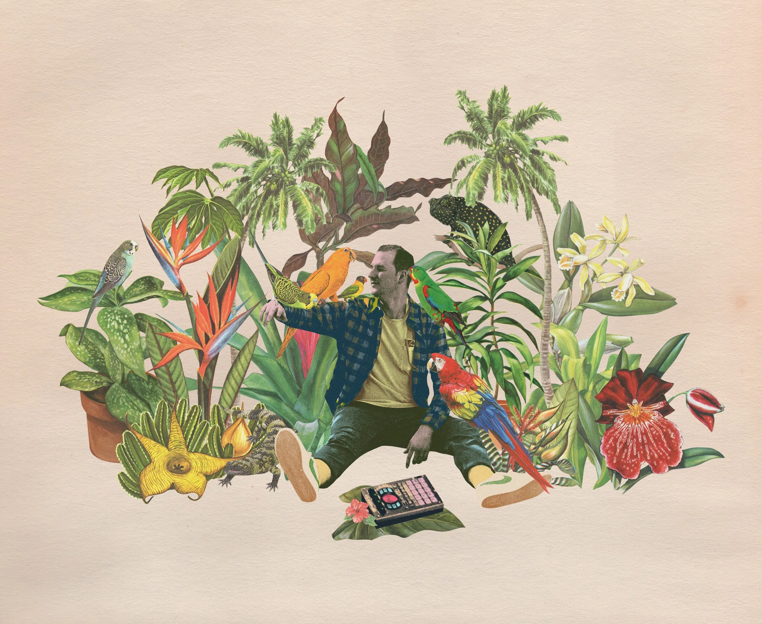 Zeyzey Presents: Flamingosis And Monster Rally Cover