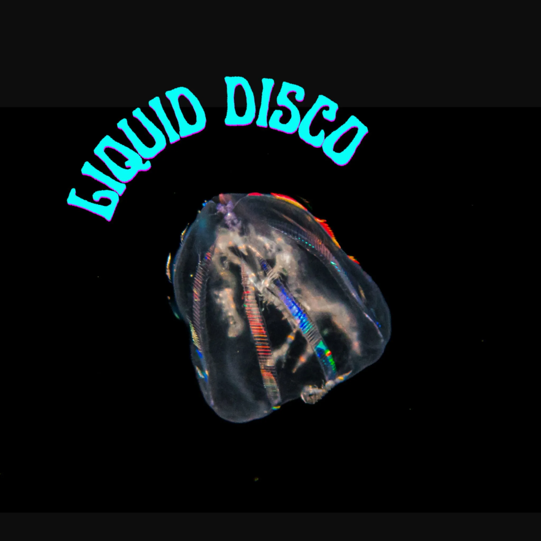 Liquid Disco Cover