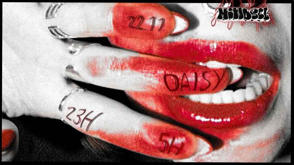 Daisy W/ Cøntrast & Siproeta Cover
