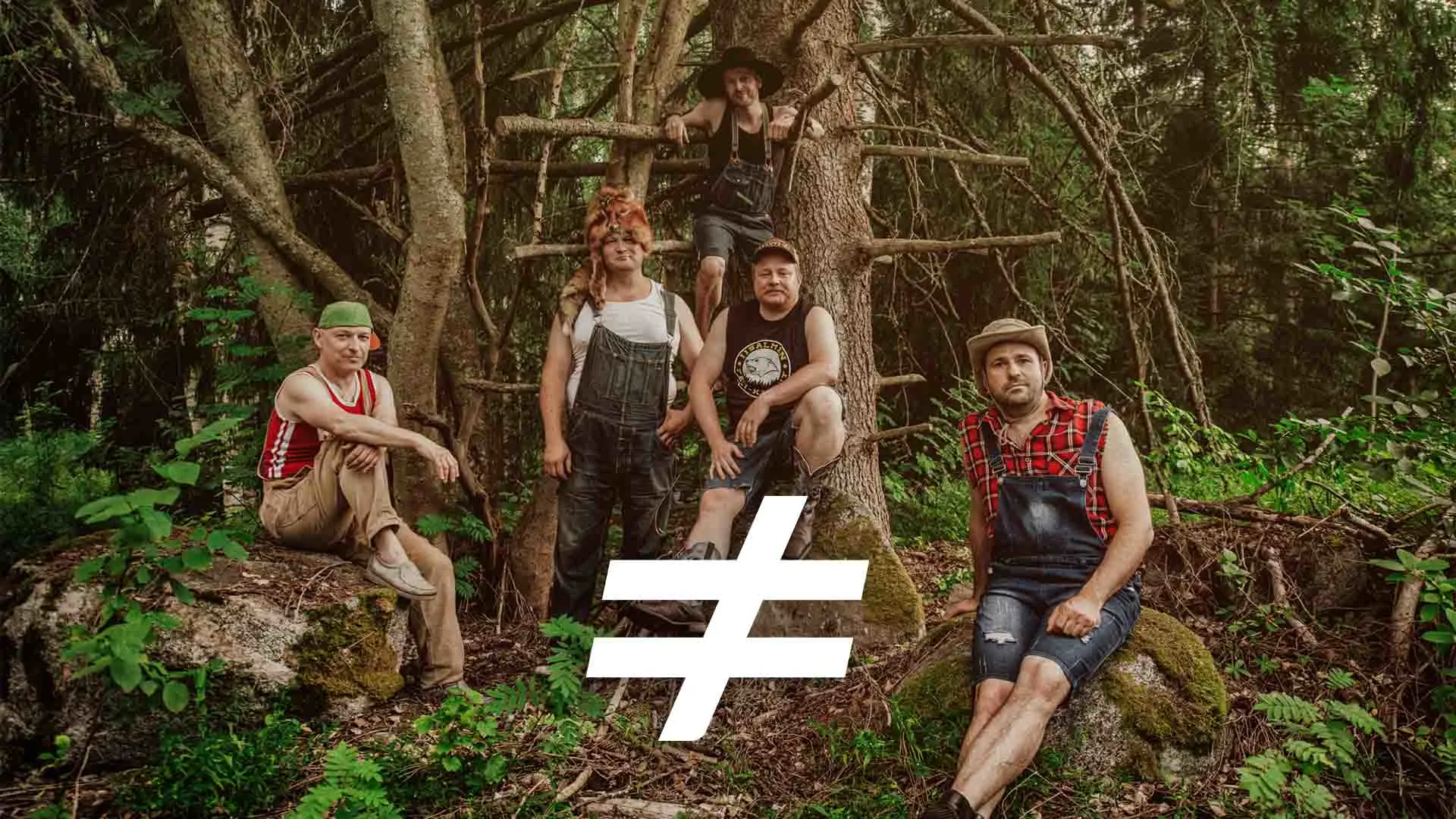 Steve N Seagulls / Le Mem. Cover
