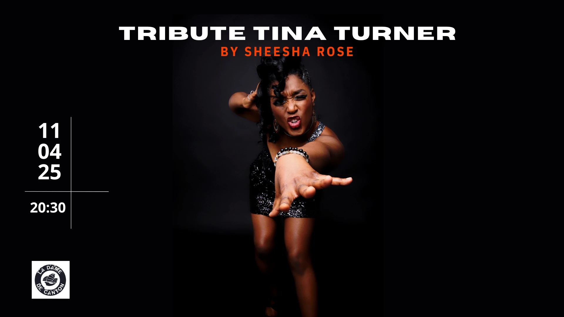 Tribute Tina Turner By Sheesha Rose Cover