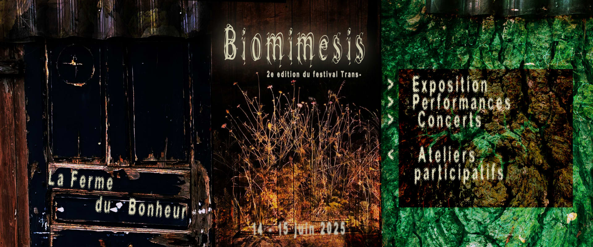 Biomimesis Cover