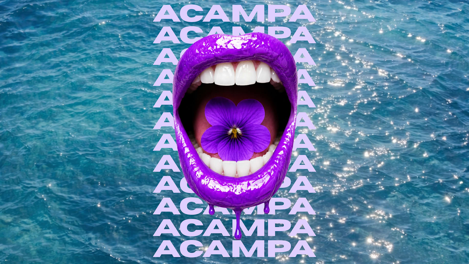 Inda X Acampa : Édition 6 Cover