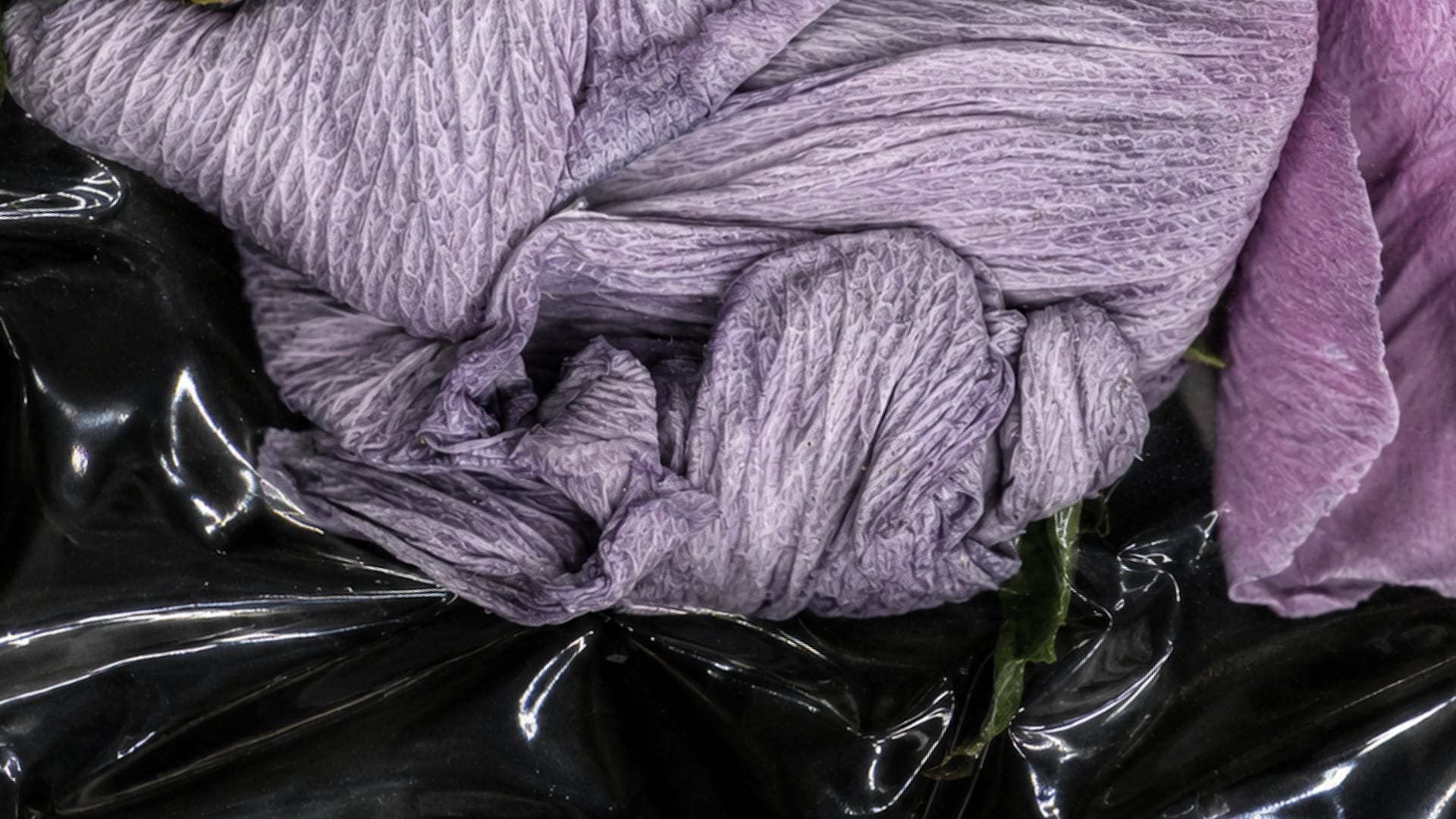 Disc·O·Patio :: Close·Knit Session :: Foundry Return Cover