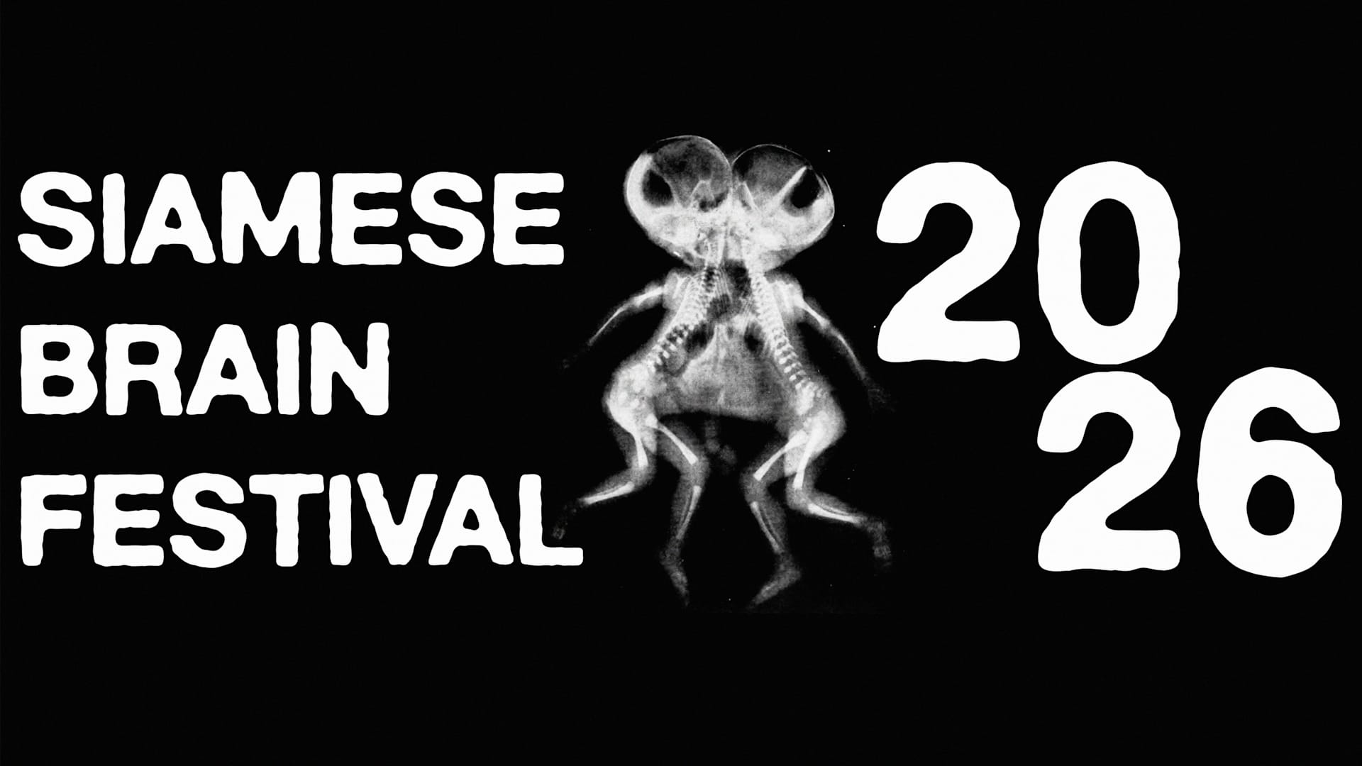 Siamese Brain Festival Cover