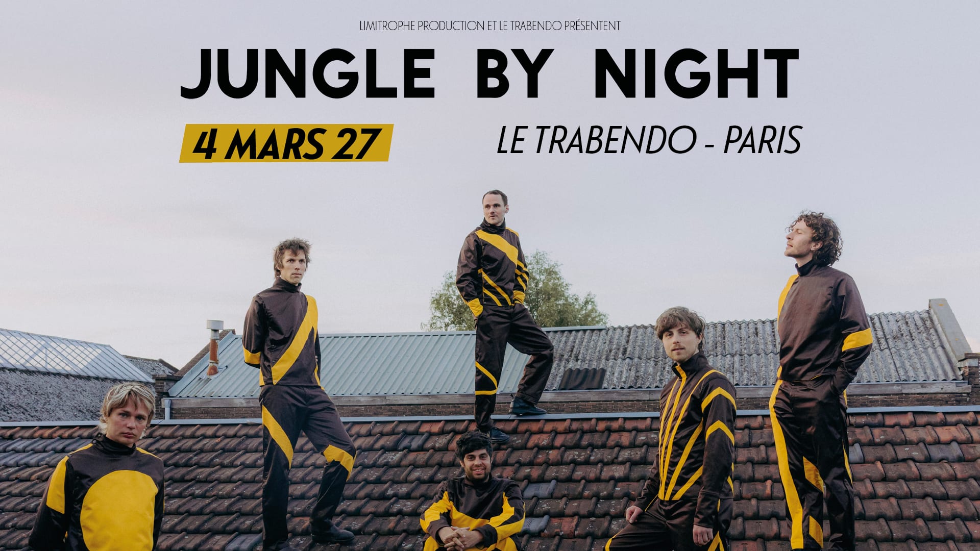 Jungle By Night Cover