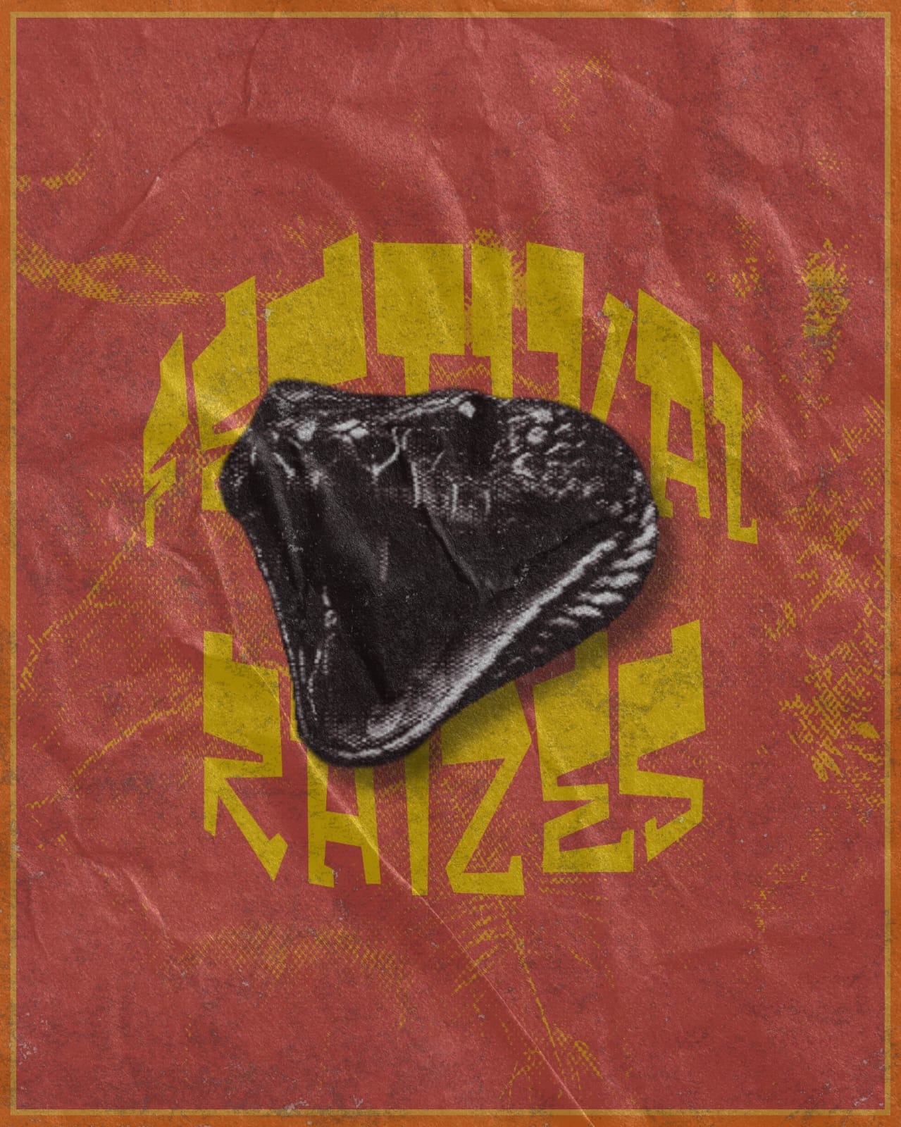 Festival Raízes Cover