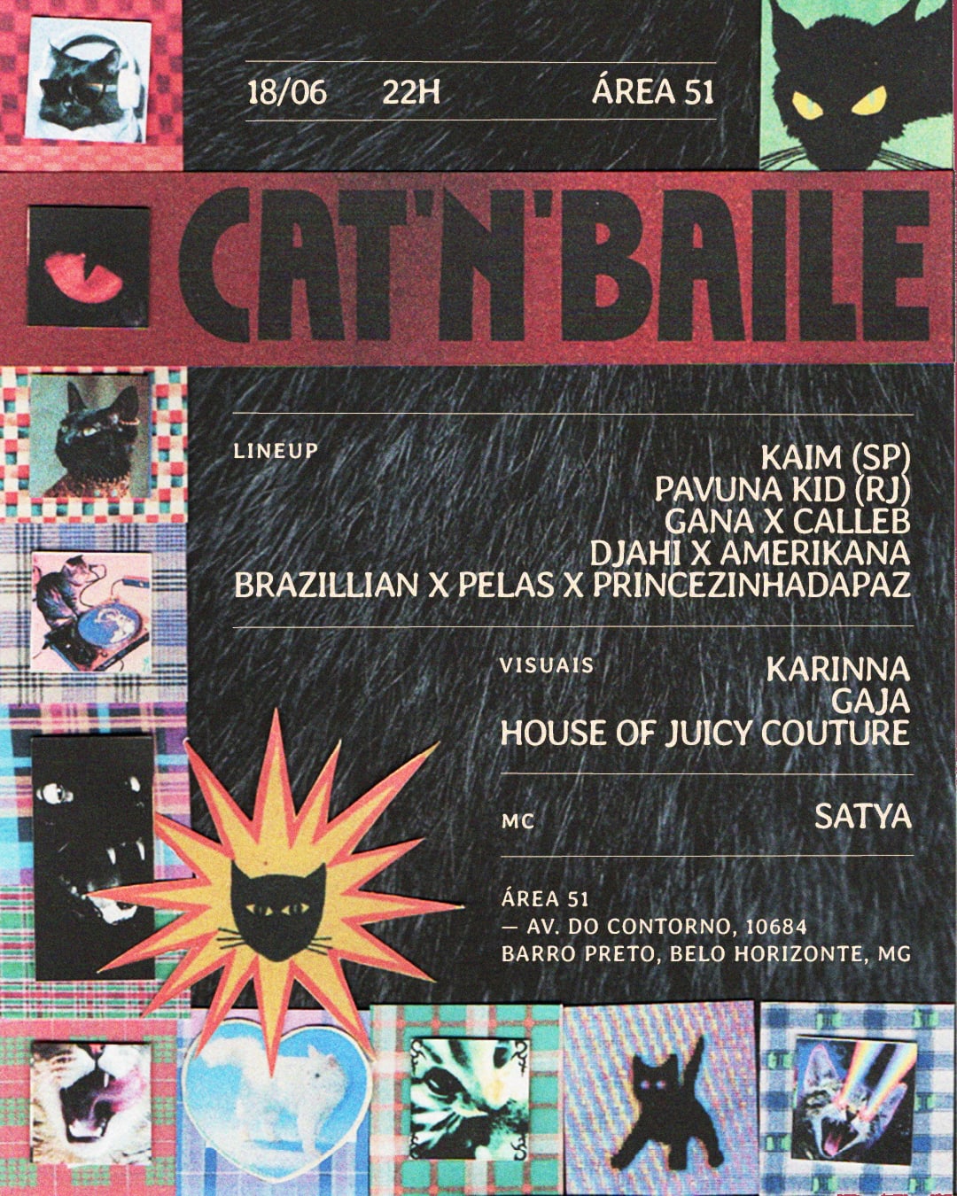 Cat'n'baile Cover