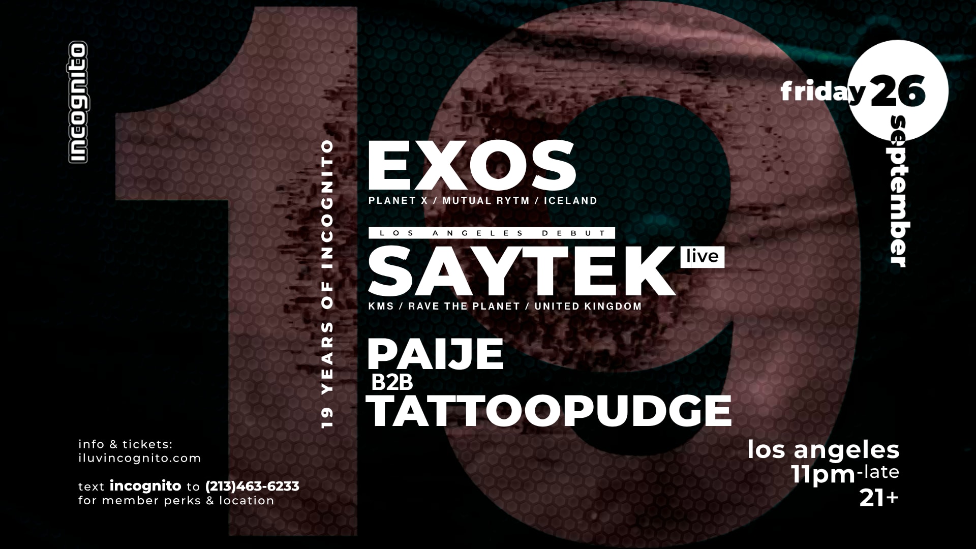 Incognito 19 Years: Exos Plus La Debut Of Saytek -Live- Cover