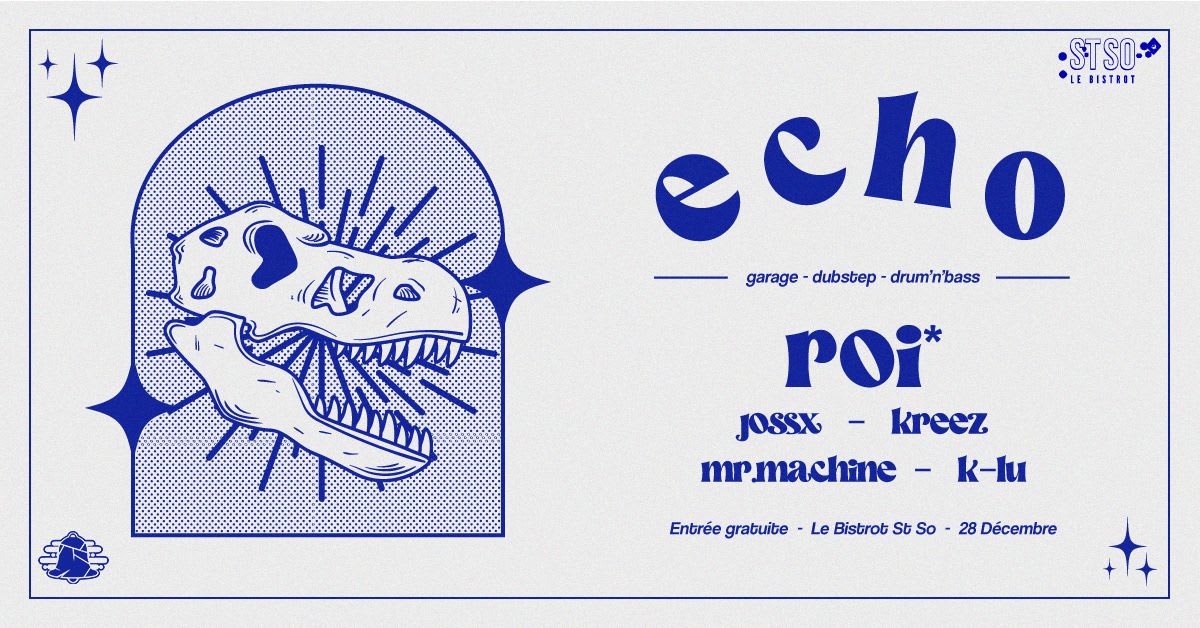 Decibelz Présente Echo W/ Roi* Cover