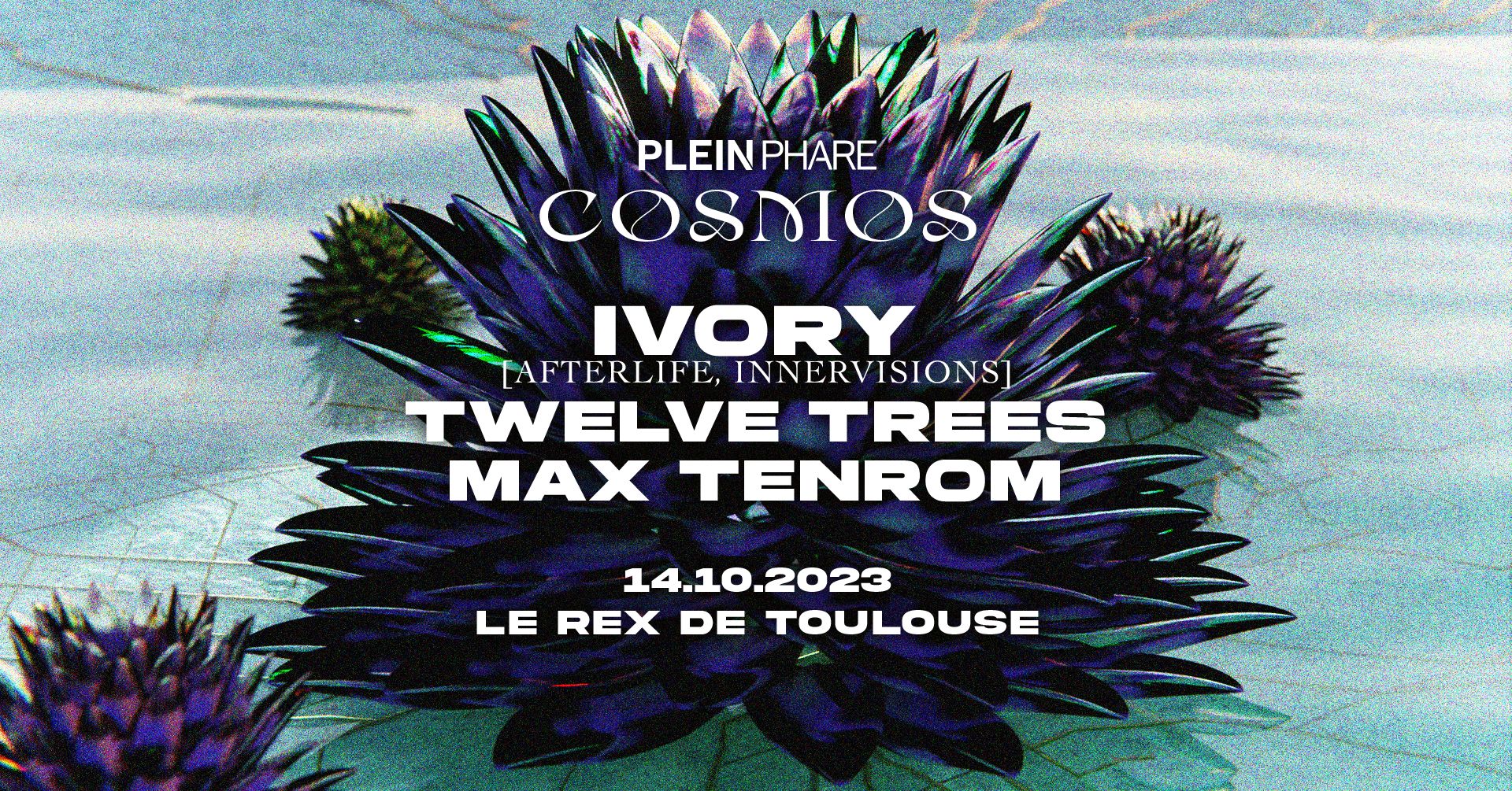 Cosmos W/ Ivory, Twelve Trees, Max Tenrom Cover