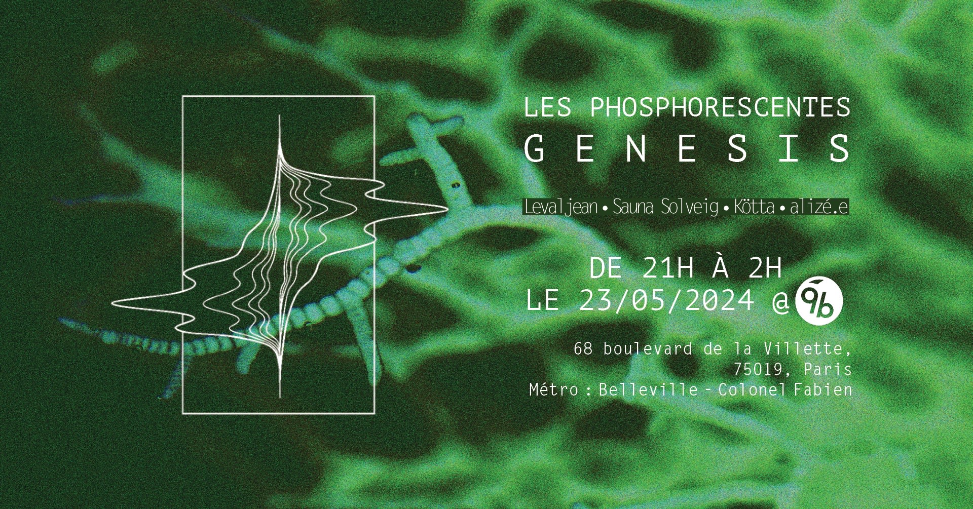Les Phosphorescentes @Le 9b Cover