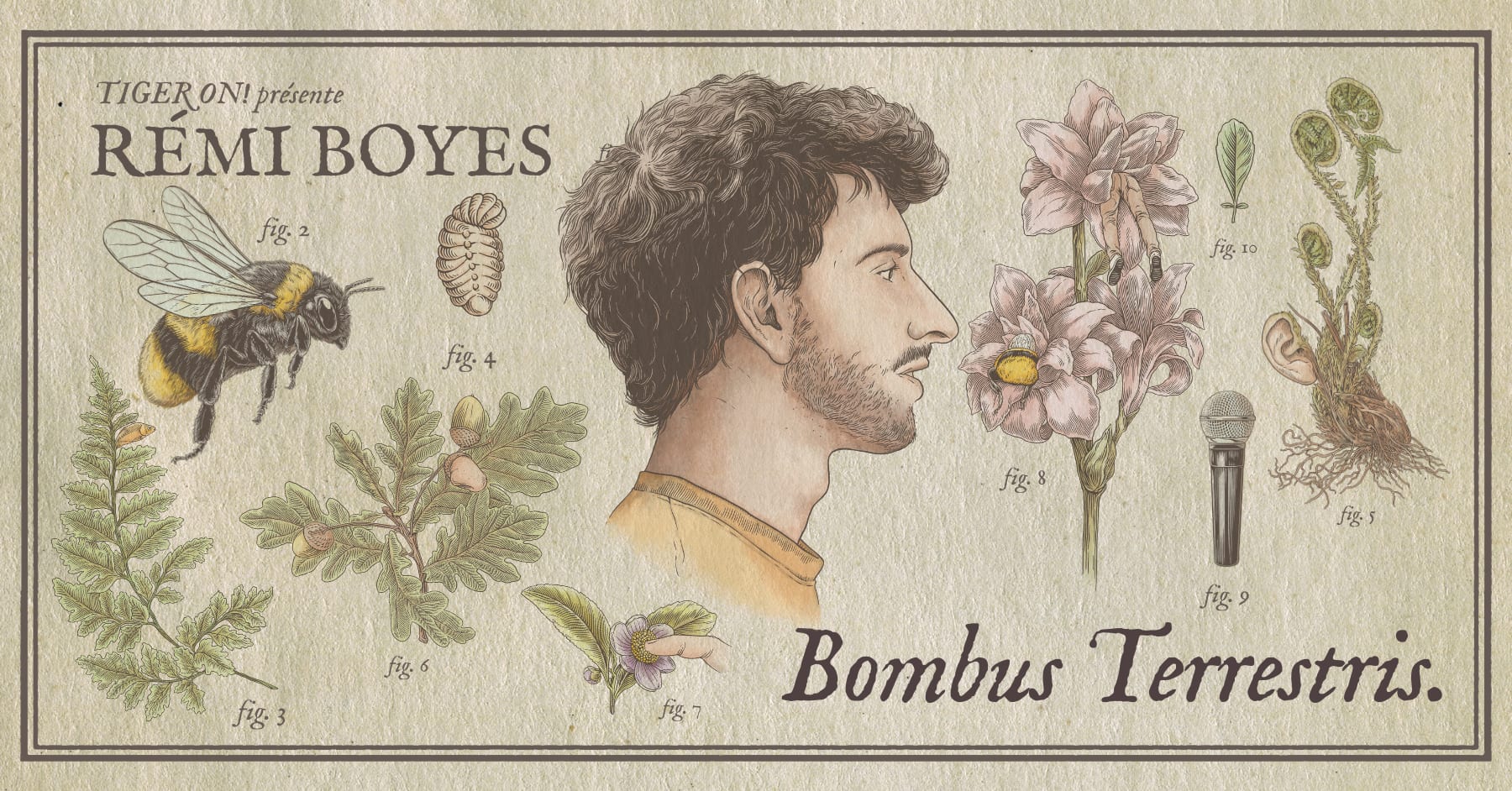 Rémi Boyes - Bombus Terrestris Cover