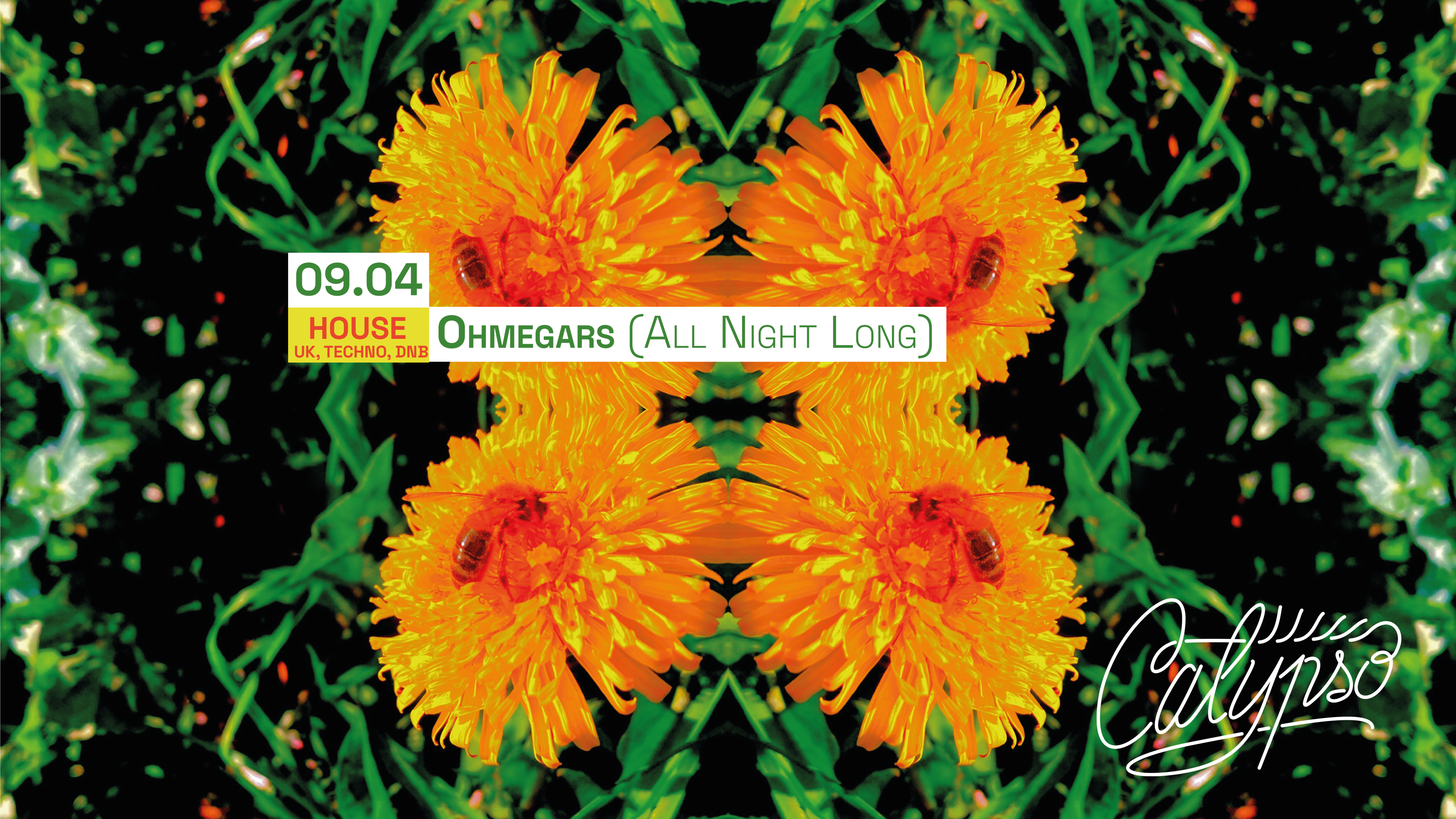 Club Calypso : Ohmegars (All Night Long) Cover