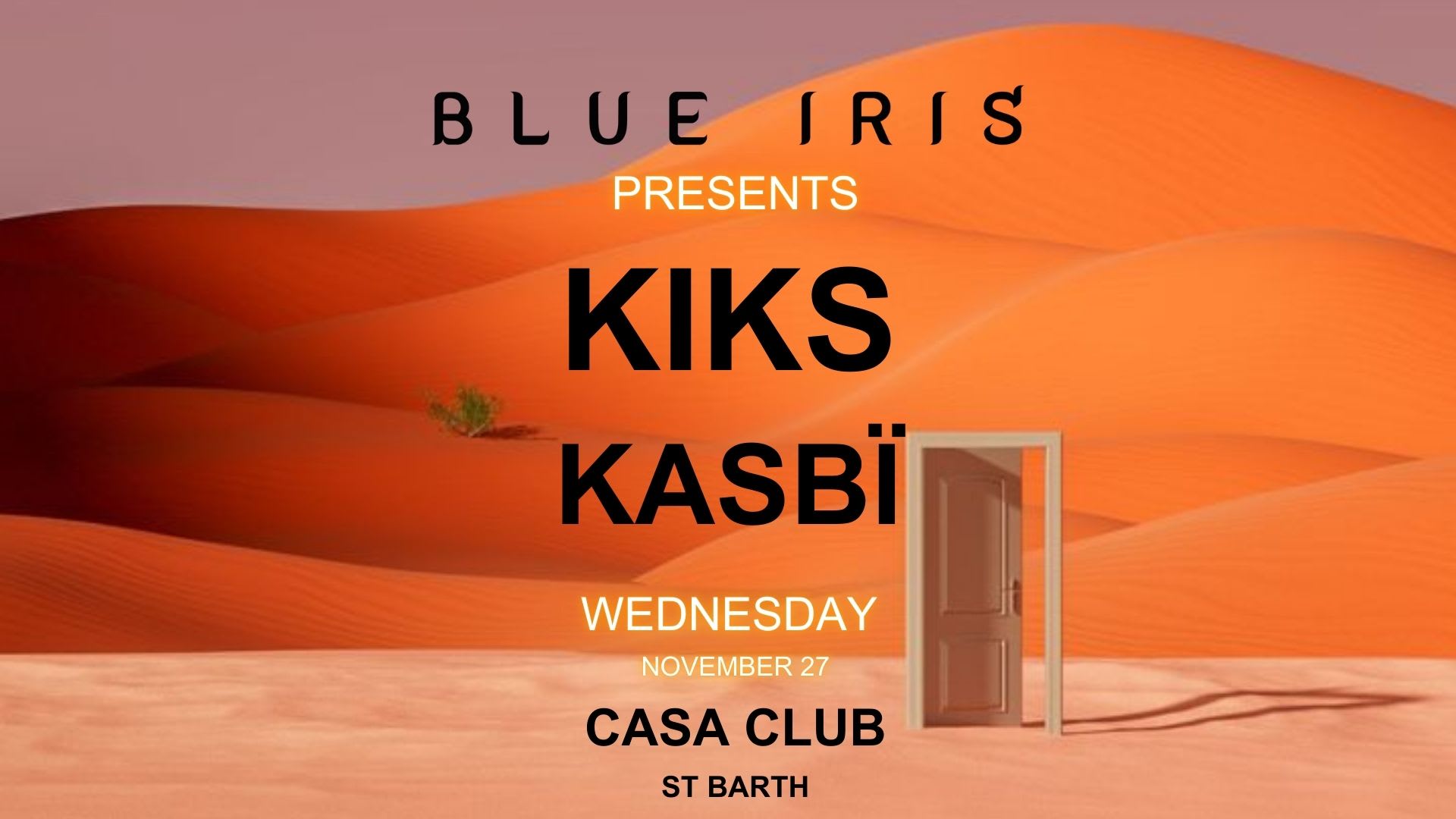 Blue Iris X Casa Club - 27 Novembre 2024 Cover