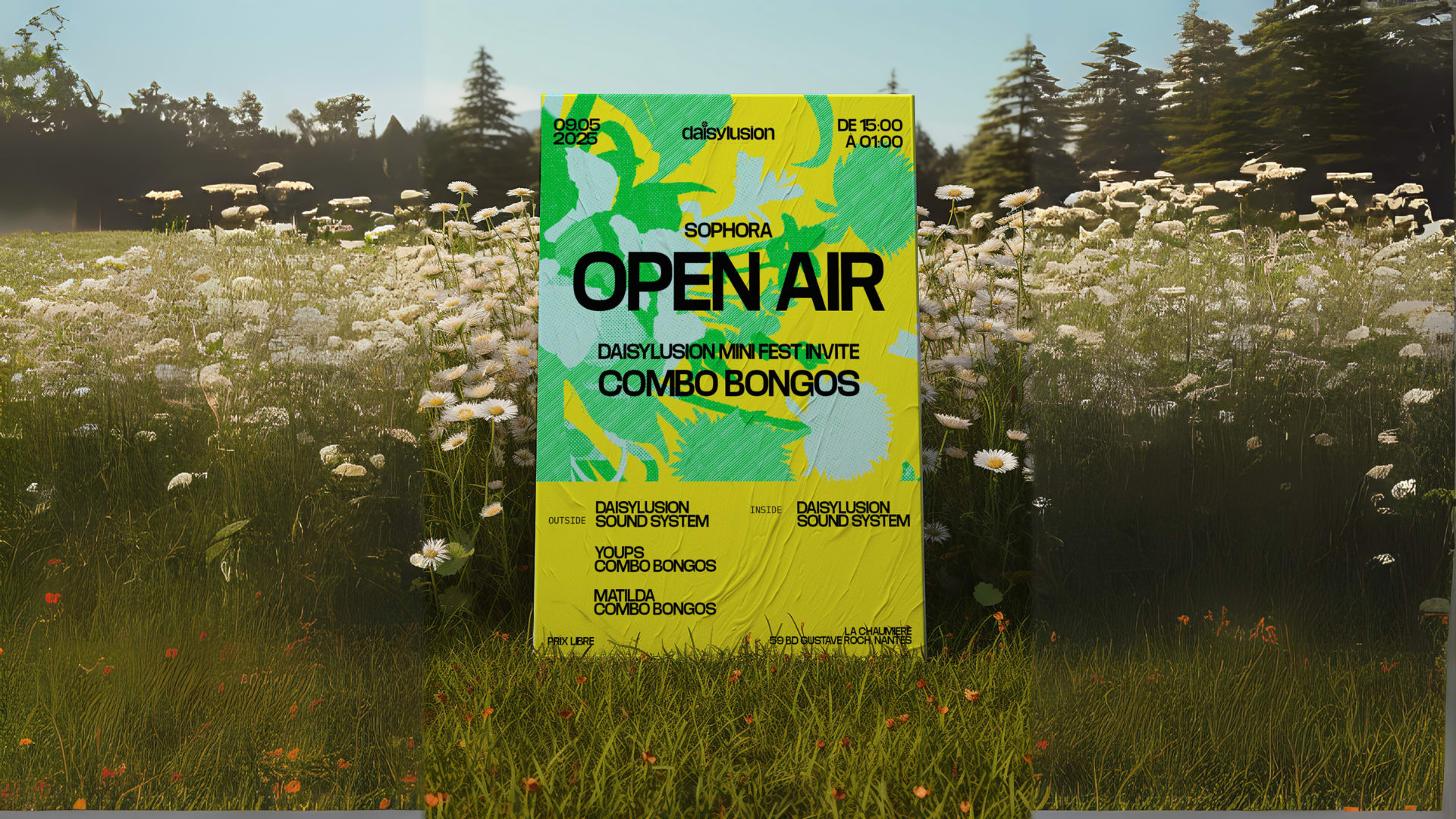 Sophora Open Air: Daisylusion Invite Combo Bongos Cover