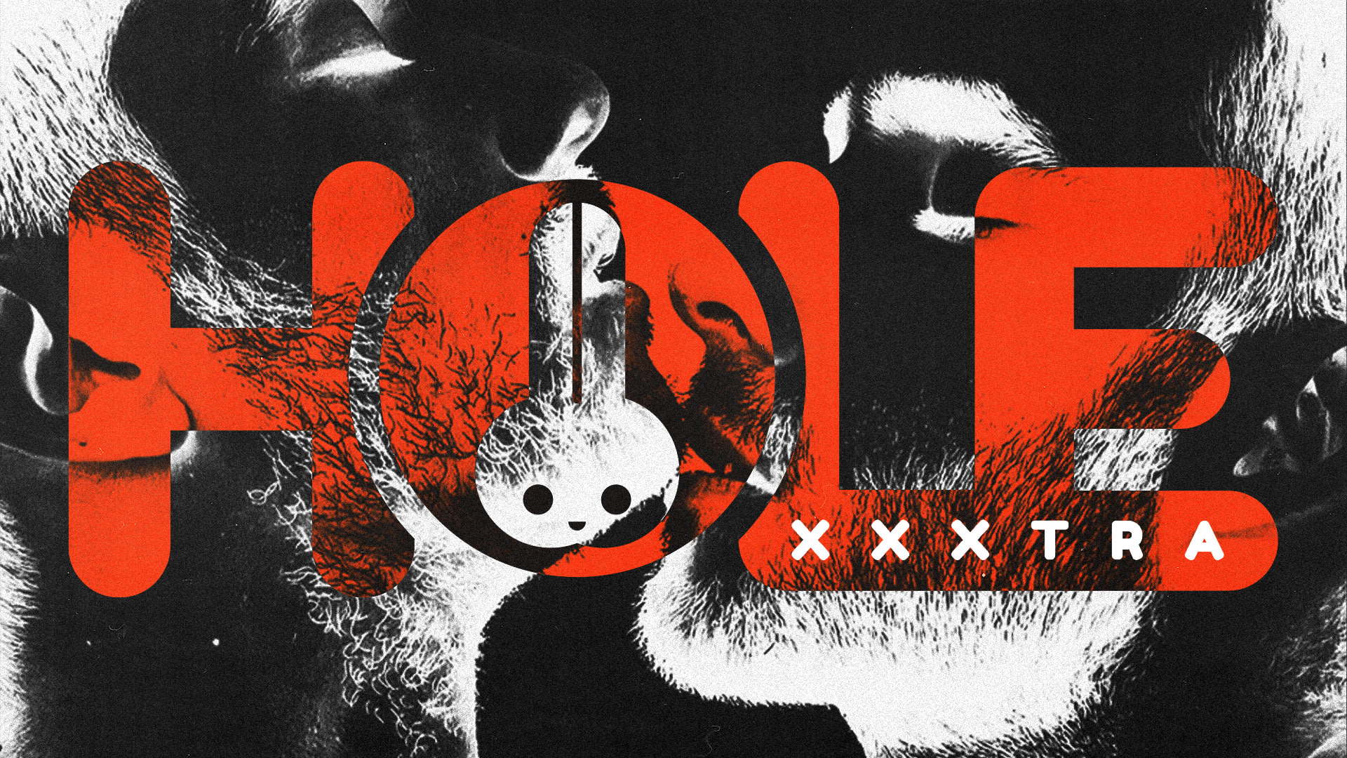 Hole Xxxtra: Primeira Do Anvs Cover