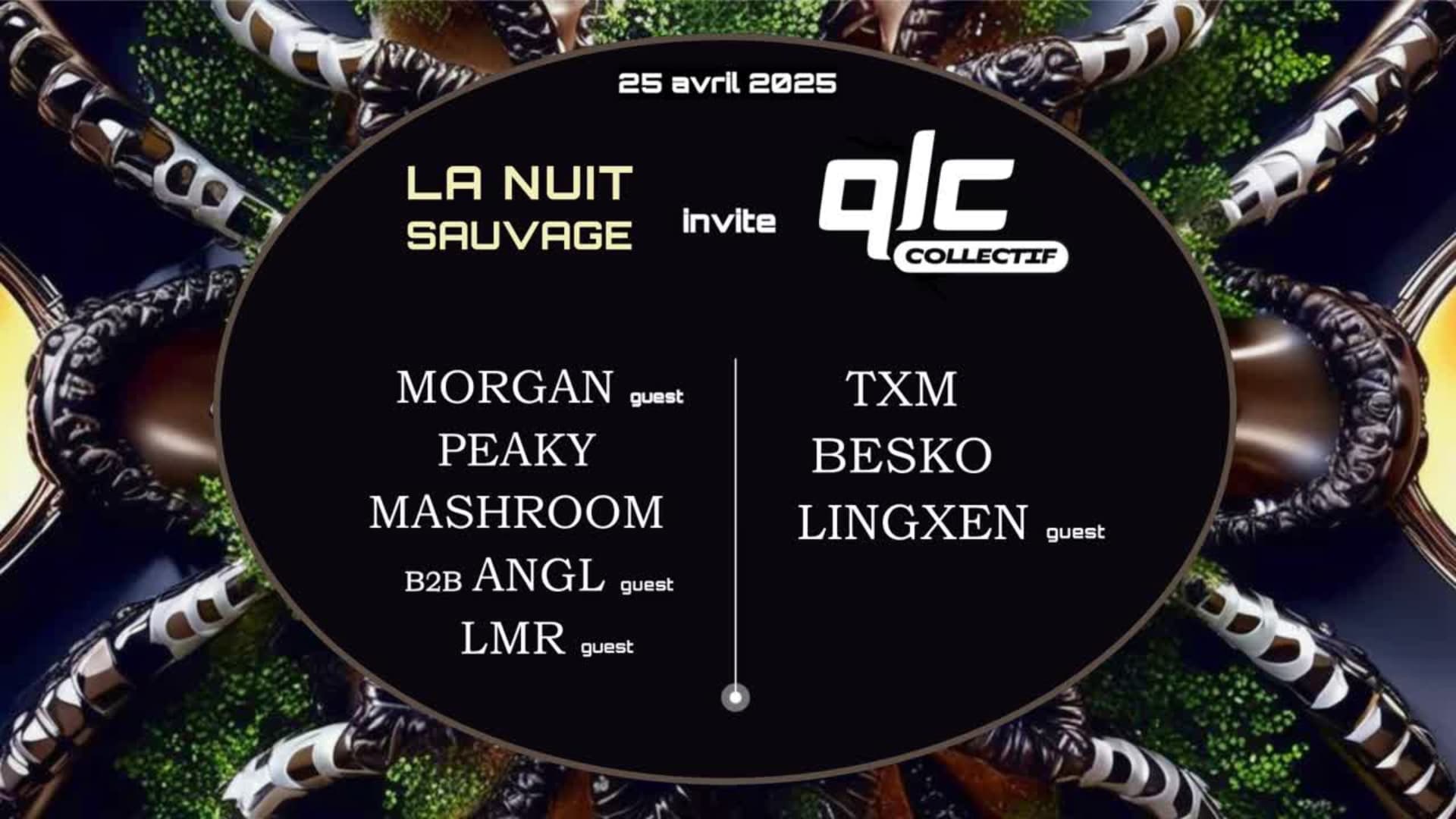La Nuit Sauvage Invite Qlc Collectif Cover