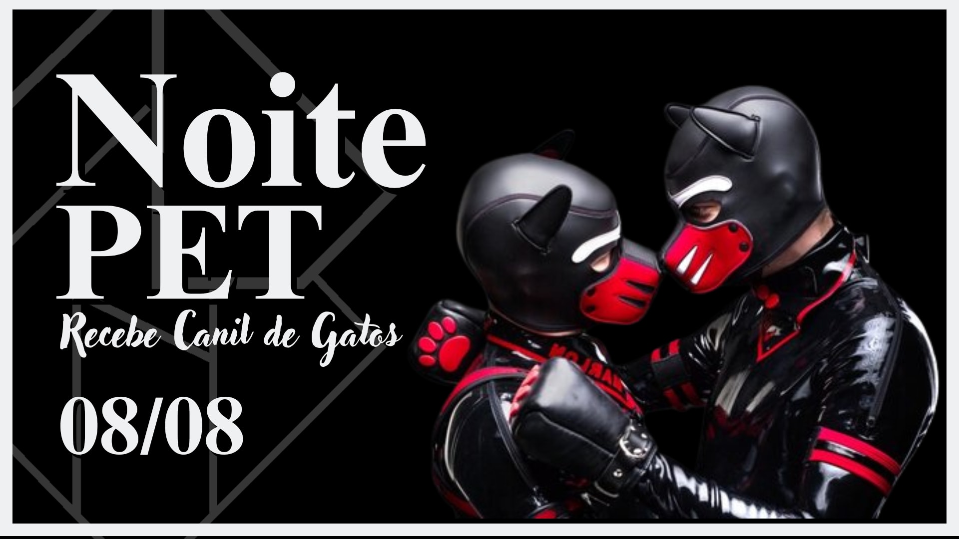 08/08 - Noite Pet: Recebe Canil De Gatos Cover