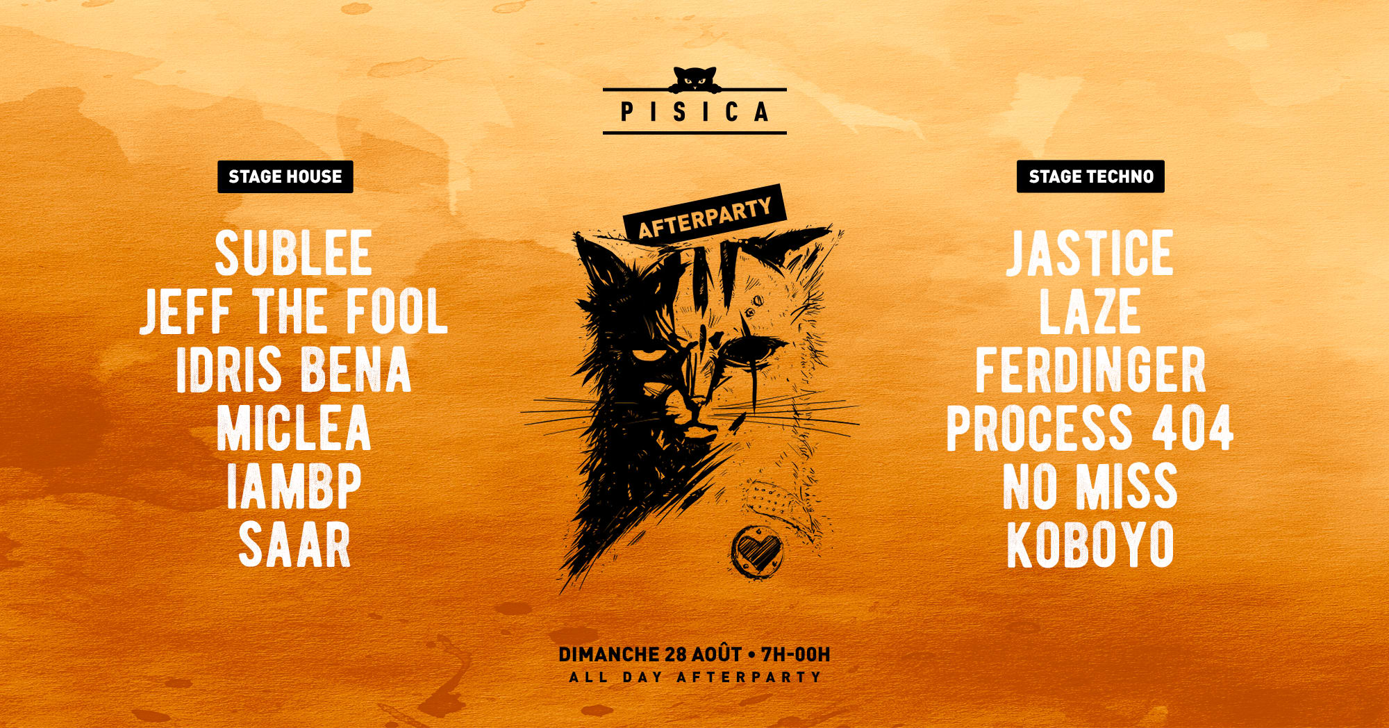 Pisica All Day After Cover