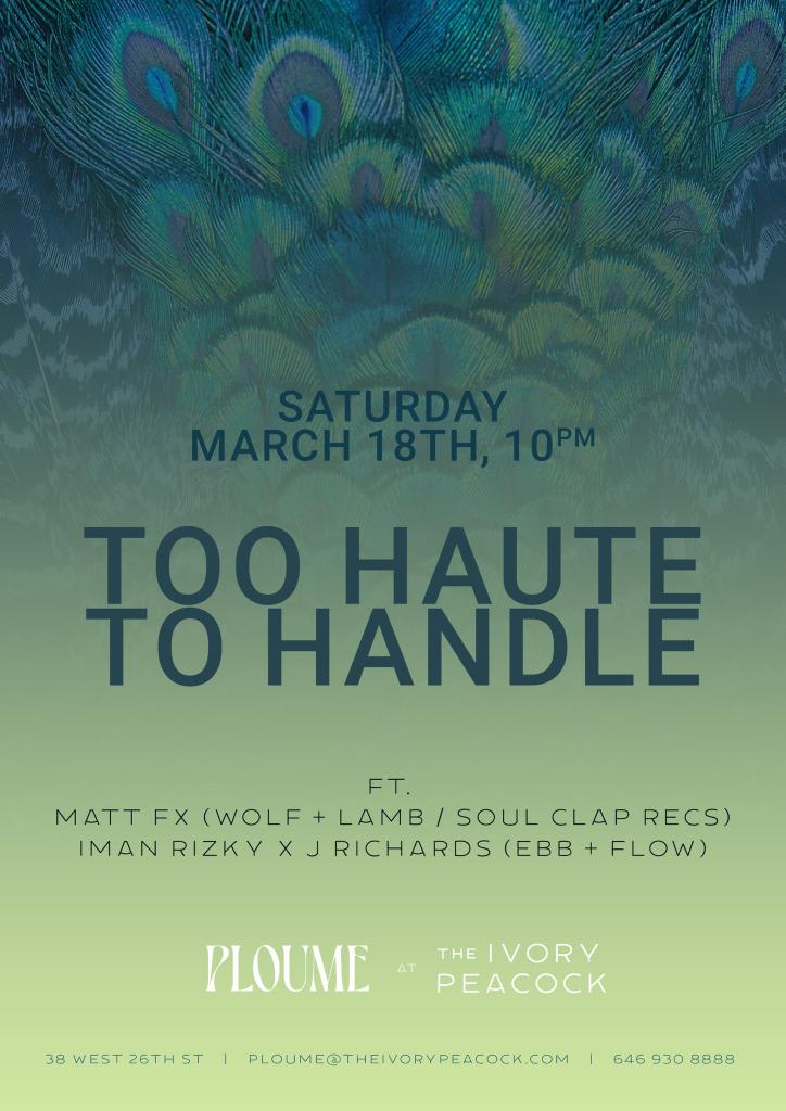 Too Haute To Handle Cover