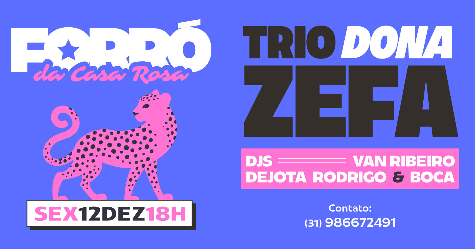 Forró Da Casa Rosa (Lançamento) | Trio Dona Zefa Cover