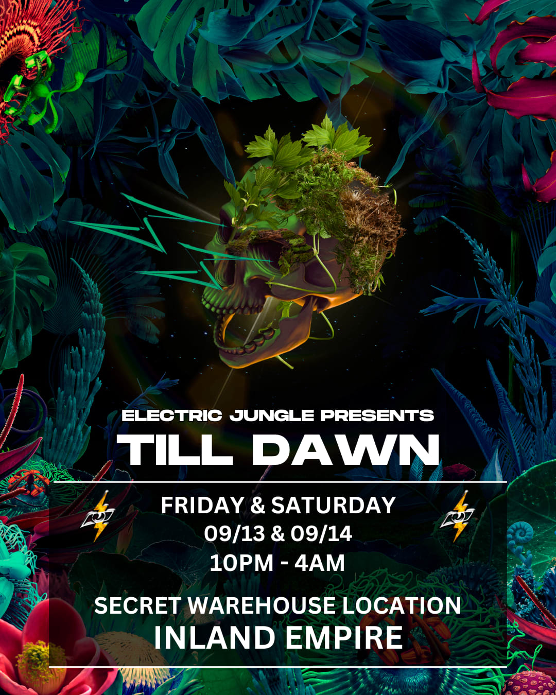 Till Dawn Cover