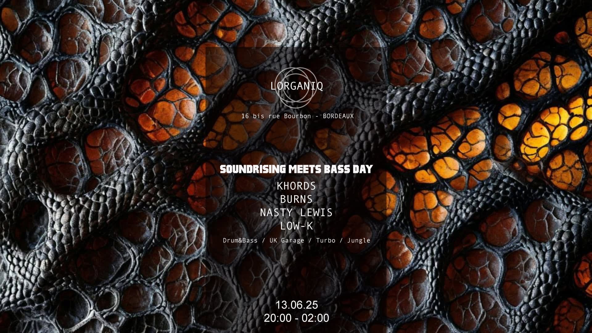 Soundrising Meets Bassday Cover