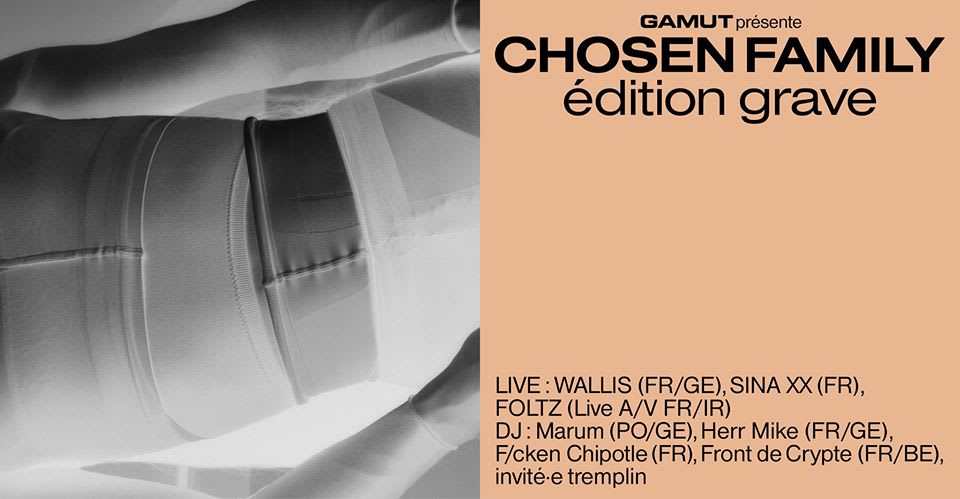 Chosen Family — Édition Grave / Wallis, Sina XX, Foltz & More Cover