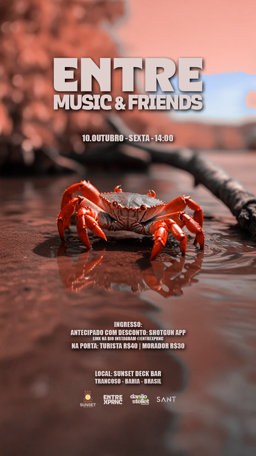 Entre Music & Friends - Edição 05 Cover