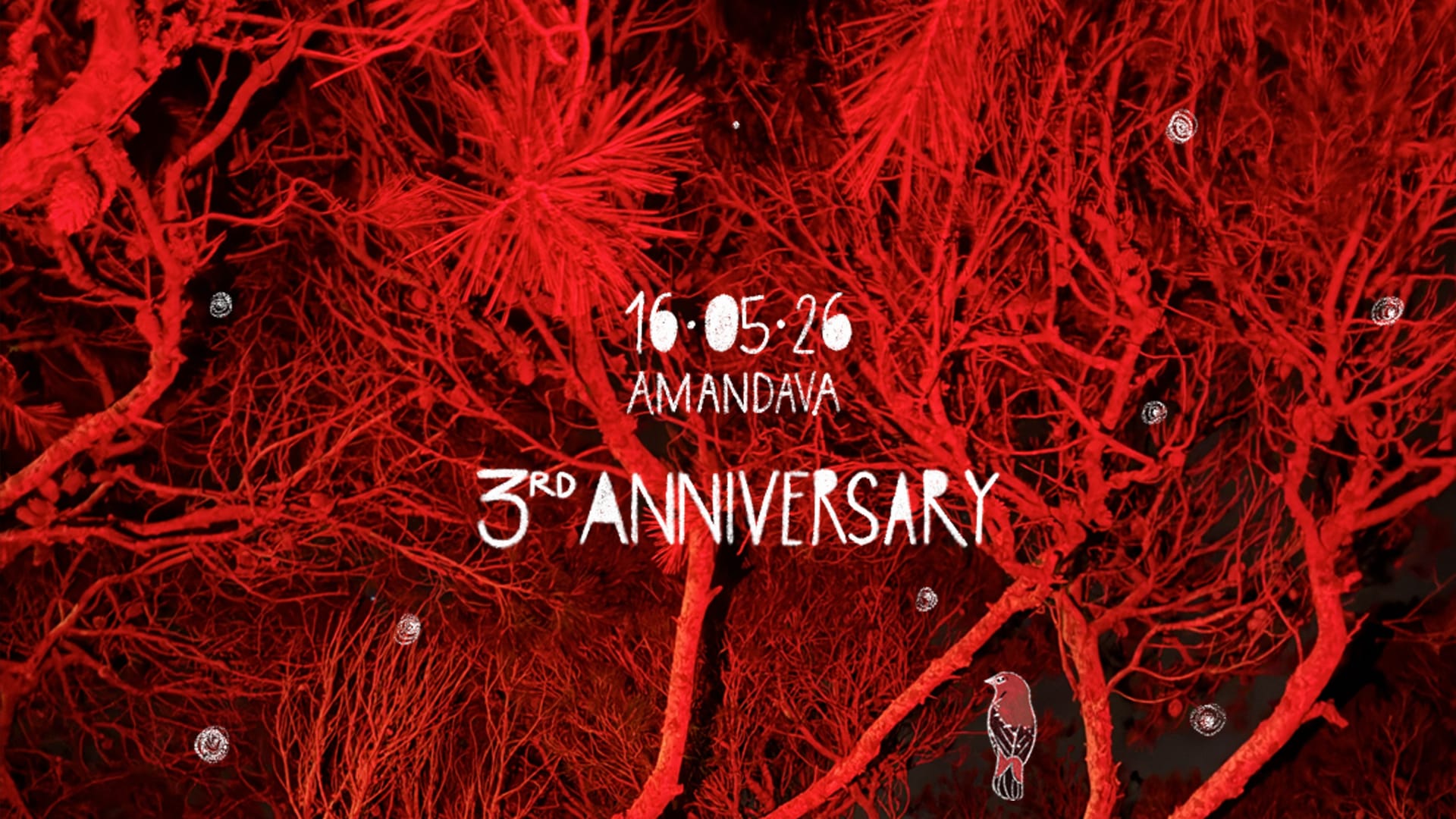 Amandava | 3rd Anniversary Cover
