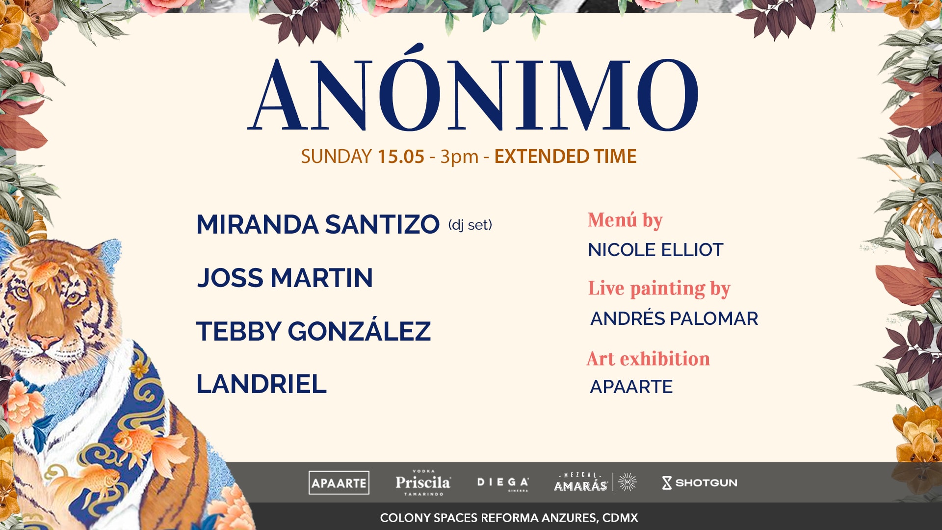 Anónimo 15.05 Cover