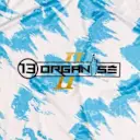13 Organisé