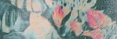 Blur Background