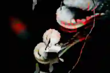 Blur Background