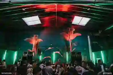 Blur Background