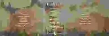 Blur Background