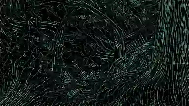 Blur Background