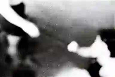 Blur Background