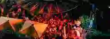 Blur Background