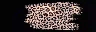 Blur Background