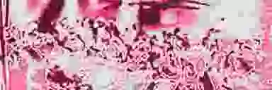 Blur Background