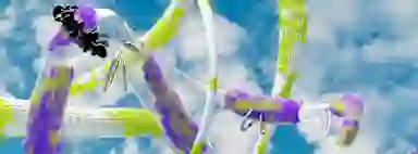 Blur Background