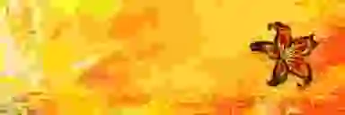 Blur Background